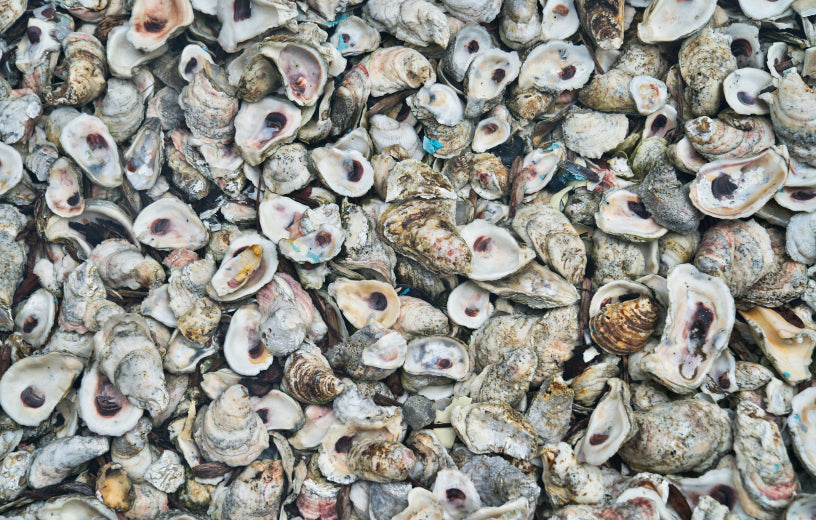 Transforming land and sea discards into premium knits