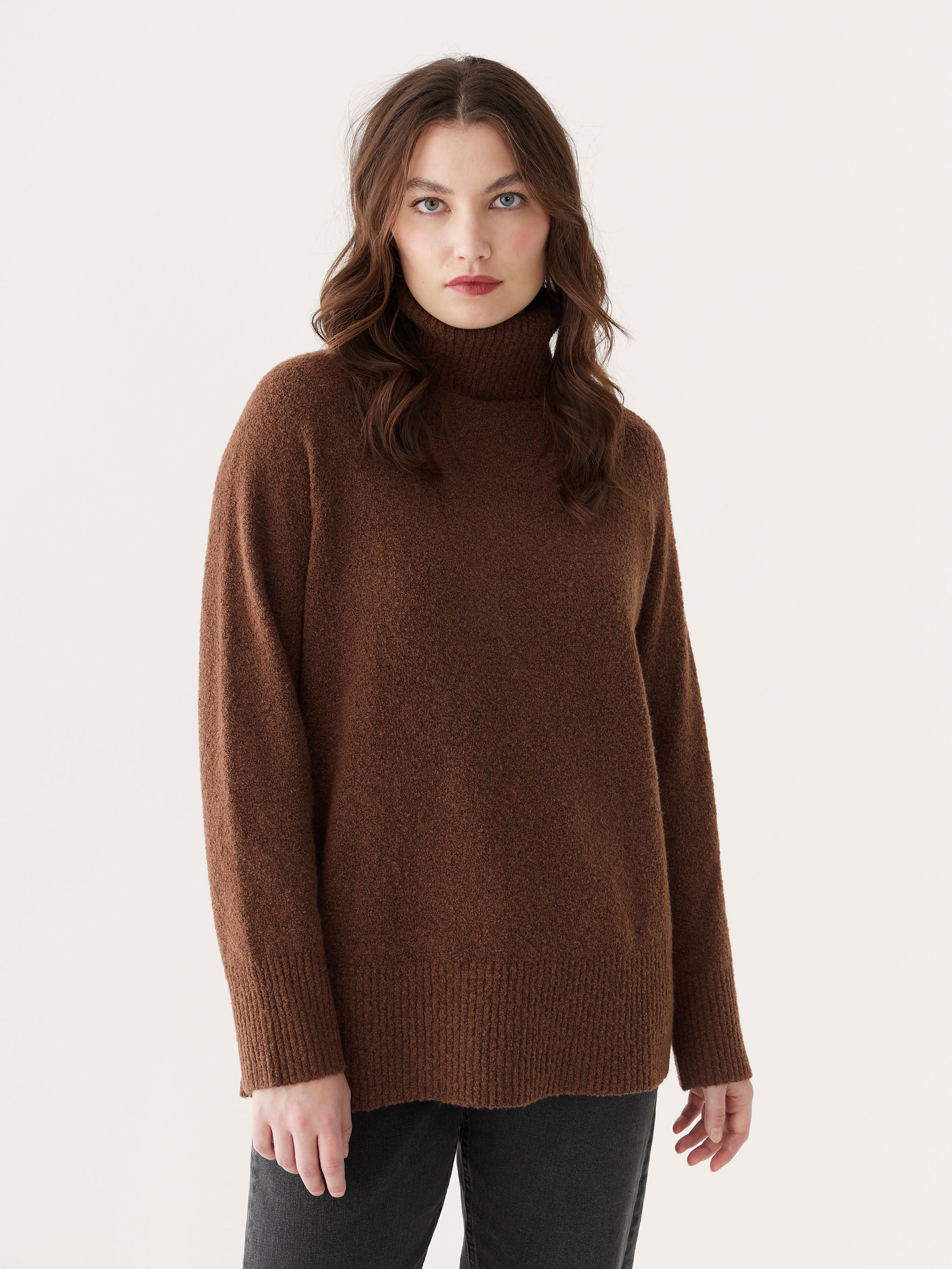 The Seawool® Turtleneck in Cappuccino – Frank And Oak USA